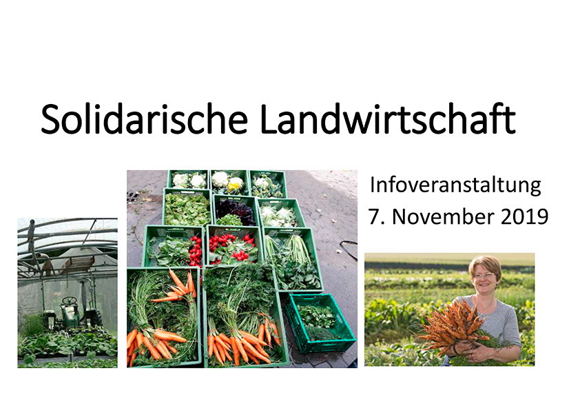 Solidarische Landwirtschaft | Biogemüse Aus Dramfeld